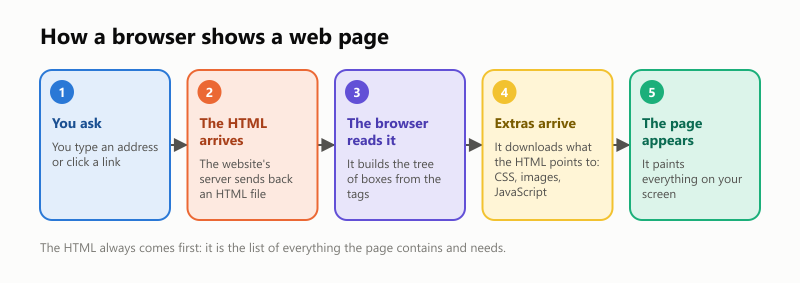 How a browser shows a web page, in five steps. One, you ask: you type an address or click a link. Two, the HTML arrives: the website's server sends back an HTML file. Three, the browser reads it: it builds the tree of boxes from the tags. Four, extras arrive: it downloads what the HTML points to, CSS, images and JavaScript. Five, the page appears: it paints everything on your screen. The HTML always comes first, because it is the list of everything the page contains and needs