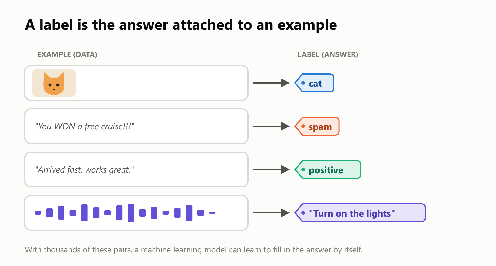 A label is the answer attached to an example. A photo of a cat is labeled "cat". The email "You WON a free cruise!!!" is labeled "spam". The review "Arrived fast, works great." is labeled "positive". A recording of someone speaking is labeled with the words "Turn on the lights"