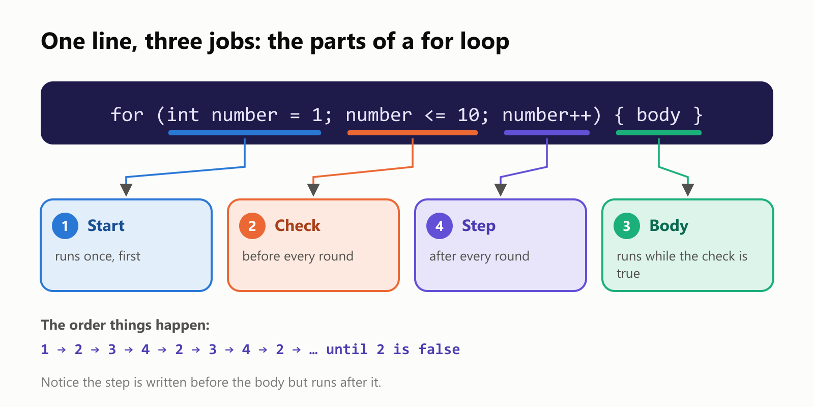 One line, three jobs: the parts of a for loop. In for (int number = 1; number <= 10; number++) { body }, int number = 1 is the start, which runs once, first. number <= 10 is the check, which runs before every round. number++ is the step, which runs after every round. The body runs while the check is true. The order things happen: 1, 2, 3, 4, 2, 3, 4, 2, and so on until the check is false. Notice the step is written before the body but runs after it