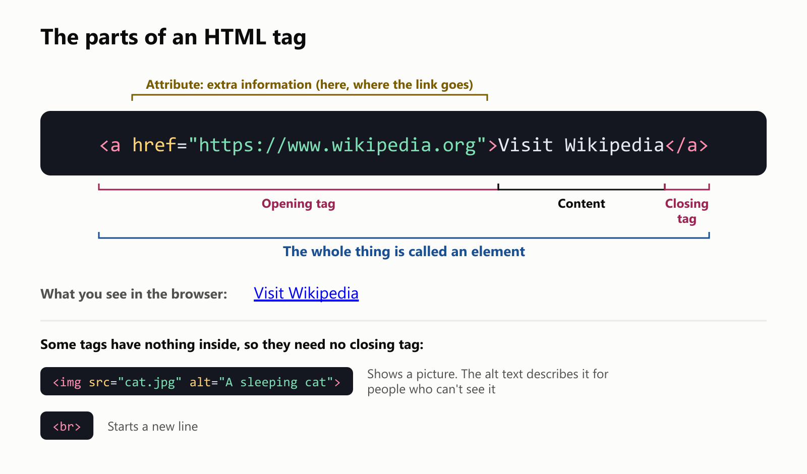 The parts of an HTML tag, using the link code a href equals https colon slash slash www dot wikipedia dot org, then the words Visit Wikipedia, then the closing a tag. The opening tag is everything from the first angle bracket to the first closing bracket. Inside it, href with its value is an attribute, extra information, here where the link goes. The words Visit Wikipedia are the content. The slash a in angle brackets is the closing tag. The whole thing is called an element. In the browser, you see the words Visit Wikipedia as a blue, underlined link. Some tags have nothing inside, so they need no closing tag. The img tag, with src equals cat dot jpg and alt equals A sleeping cat, shows a picture, and the alt text describes it for people who can't see it. The br tag starts a new line
