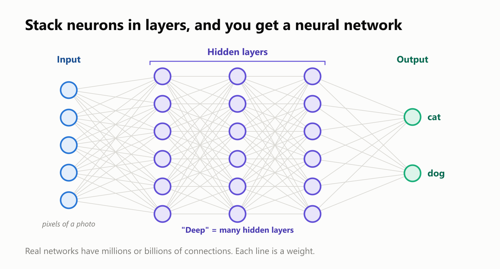 A neural network. On the left, an input layer receives the pixels of a photo. In the middle, three hidden layers of neurons, each connected to every neuron in the next layer. On the right, an output layer with two neurons: cat and dog. "Deep" means many hidden layers