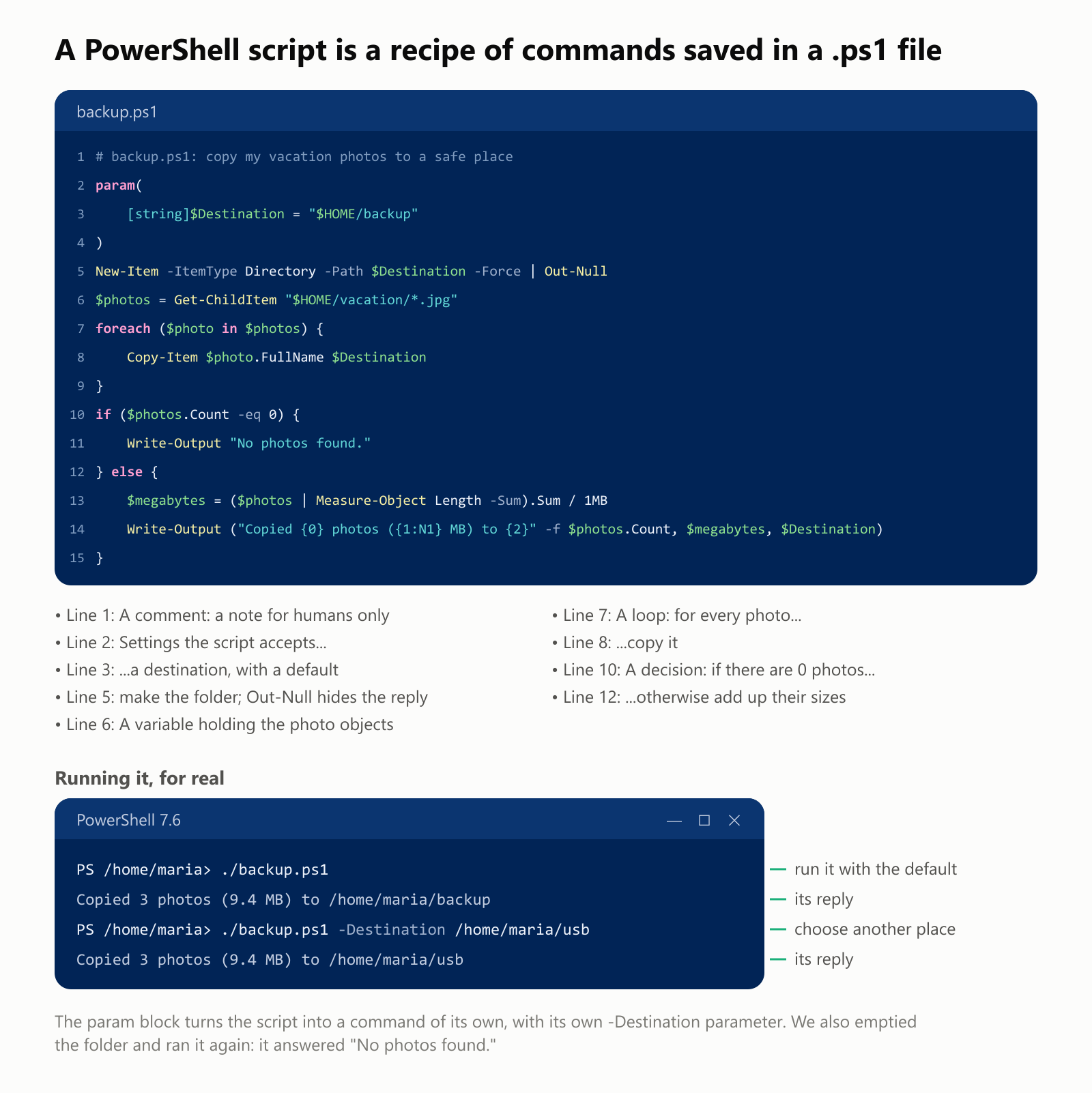 A PowerShell script is a recipe of commands saved in a .ps1 file, called backup.ps1. Line 1 is a comment, a note for humans only. Lines 2 to 4 are a param block, the settings the script accepts: a destination, with a default of the backup folder in your home folder. Line 5 makes the folder, and Out-Null hides the reply. Line 6 is a variable holding the photo objects from the vacation folder. Lines 7 to 9 are a loop: for every photo, copy it. Lines 10 to 15 are a decision: if there are 0 photos, say "No photos found.", otherwise add up their sizes and say how many photos were copied, how many megabytes, and where. Running it, for real: ./backup.ps1 answered "Copied 3 photos (9.4 MB) to /home/maria/backup". ./backup.ps1 -Destination /home/maria/usb answered "Copied 3 photos (9.4 MB) to /home/maria/usb". The param block turns the script into a command of its own, with its own -Destination parameter. We also emptied the folder and ran it again: it answered "No photos found."