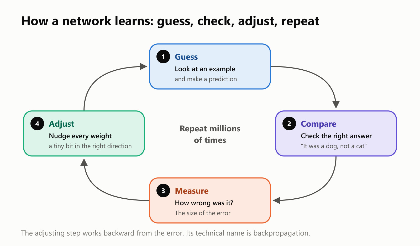How a network learns, in four steps around a cycle that repeats millions of times. 1, Guess: look at an example and make a prediction. 2, Compare: check the right answer, "it was a dog, not a cat". 3, Measure: how wrong was it, the size of the error. 4, Adjust: nudge every weight a tiny bit in the right direction