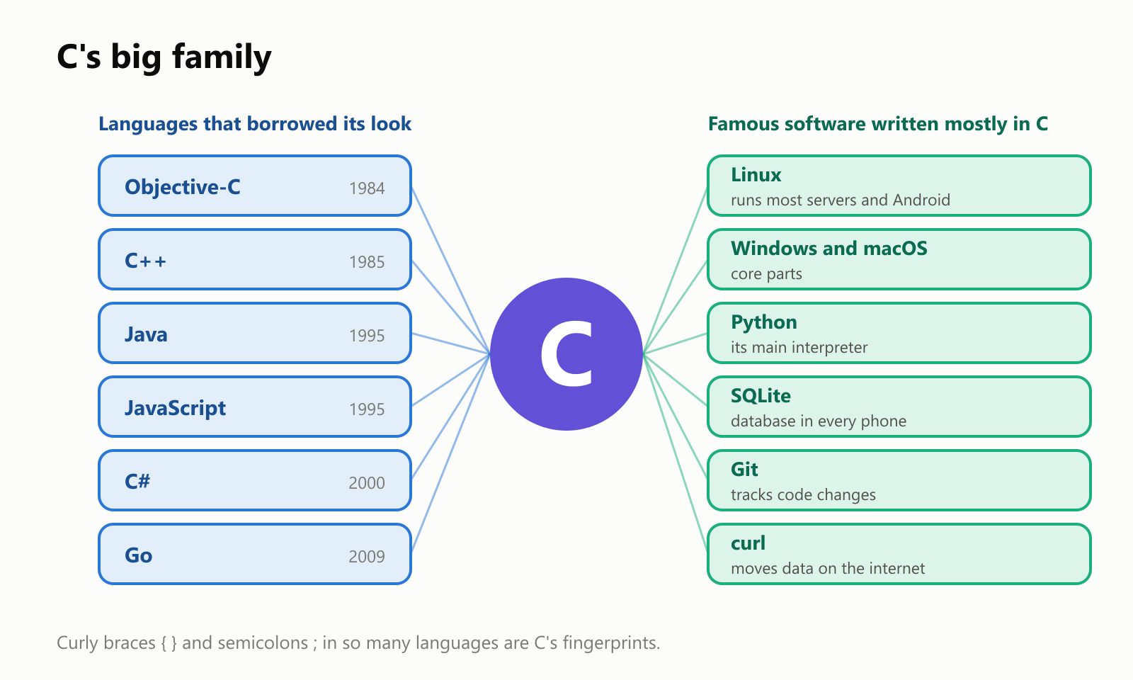 C's big family. Languages that borrowed its look: Objective-C (1984), C++ (1985), Java (1995), JavaScript (1995), C# (2000) and Go (2009). Famous software written mostly in C: Linux, which runs most servers and Android; core parts of Windows and macOS; Python's main interpreter; SQLite, a database in every phone; Git, which tracks code changes; and curl, which moves data on the internet. Curly braces and semicolons in so many languages are C's fingerprints