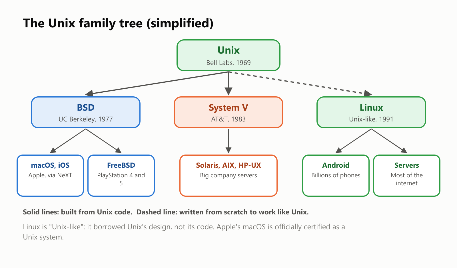 The Unix family tree, simplified. Unix, from Bell Labs in 1969, led to BSD at UC Berkeley in 1977, to System V from AT&T in 1983, and inspired Linux, a Unix-like system from 1991. BSD led to macOS and iOS, through Apple and NeXT, and to FreeBSD, used in the PlayStation 4 and 5. System V led to Solaris, AIX and HP-UX, used in big company servers. Linux led to Android, on billions of phones, and to servers, running most of the internet. Solid lines: built from Unix code. Dashed line: written from scratch to work like Unix. Linux is "Unix-like": it borrowed Unix's design, not its code. Apple's macOS is officially certified as a Unix system