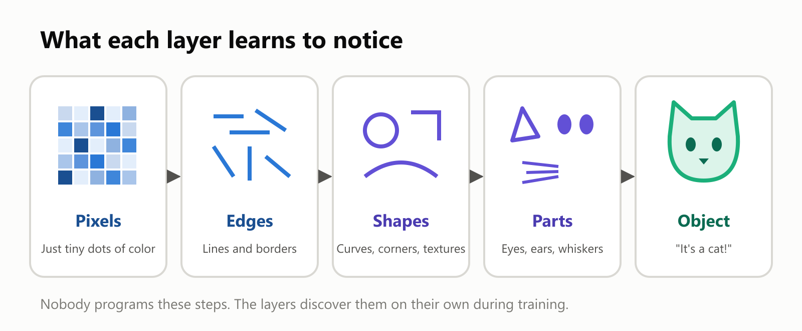What each layer learns to notice. Pixels: just tiny dots of color. Edges: lines and borders. Shapes: curves, corners, textures. Parts: eyes, ears, whiskers. Object: it's a cat
